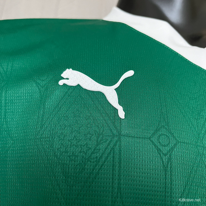 25/26 Player Version Edition Palmeiras Home S-XXXXL