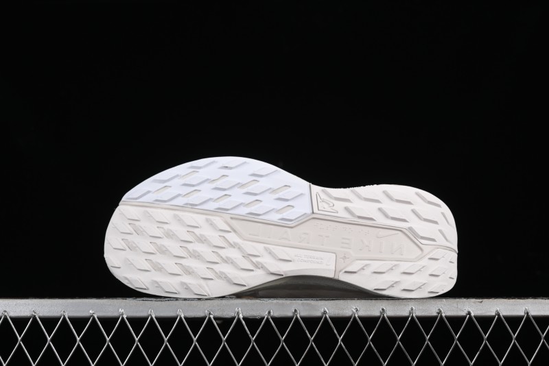 Nike Pegasus Trail 5 Lightweight Comfortable Durable Low-Top Running Shoes - DV3864-101