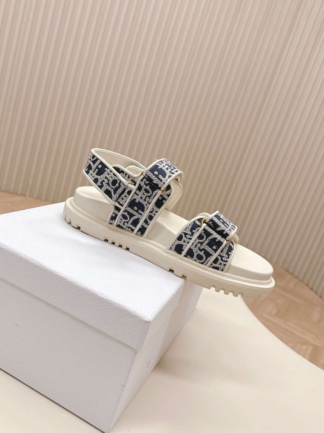 2025 Women Dior Navy White Canvas Sandals LY