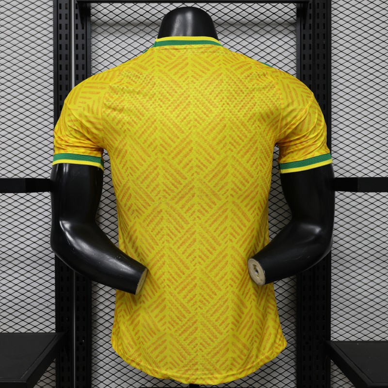 Player Version 26/27 South Africa Yellow & Green  Home Jersey (Adidas)