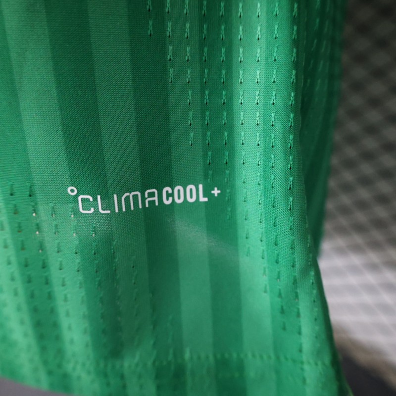 Player Version 26/27  Algeria Green Stripe V-Neck Special Edition Jersey