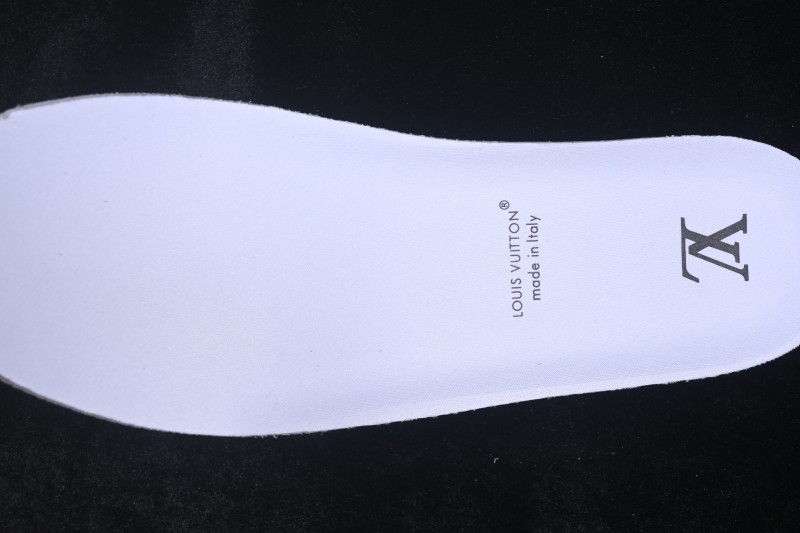 Louis Vuitton Tatic Runner Pharrell Williams Collaboration Functional Dad Shoes - Brown